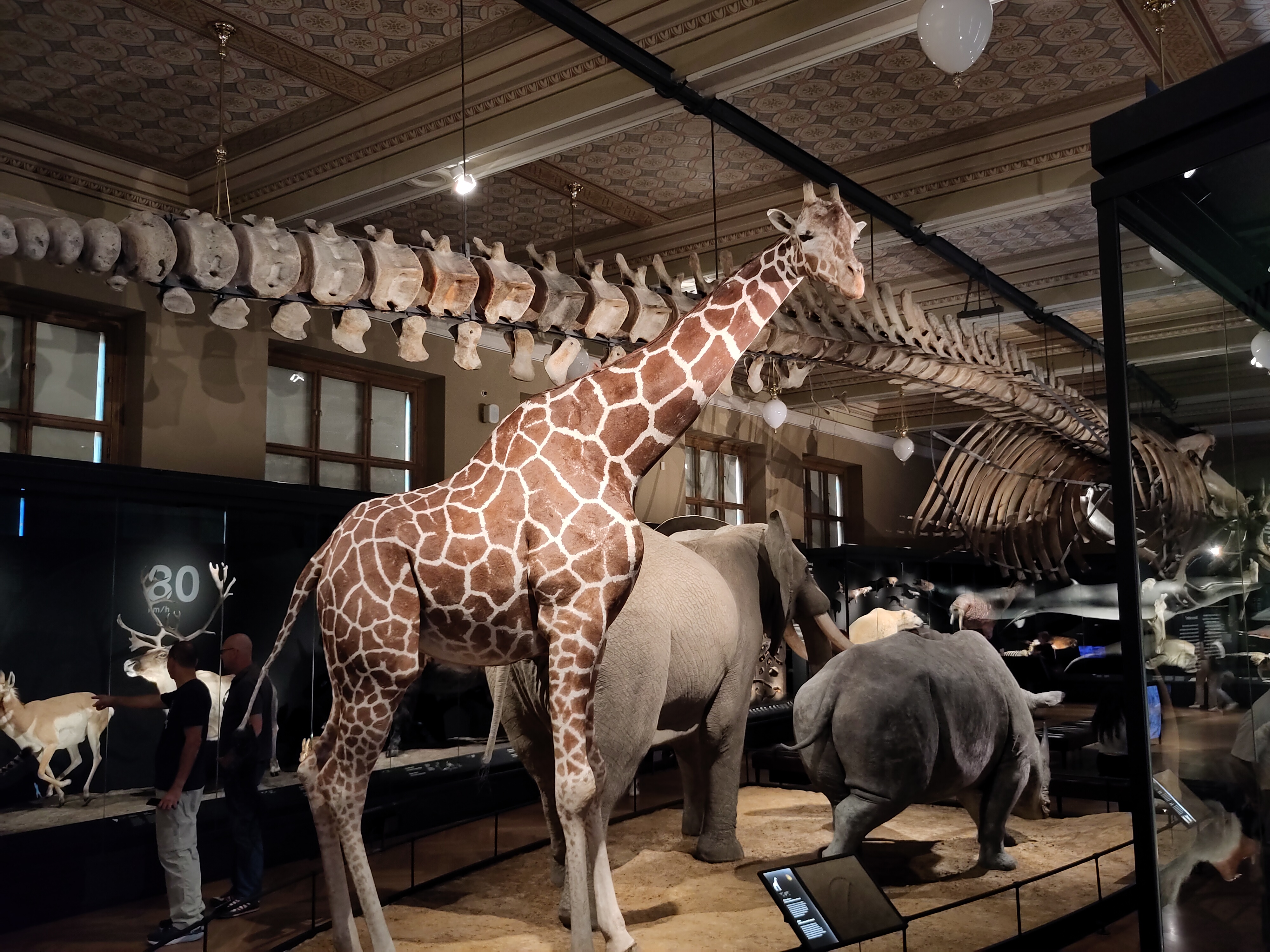 Naturkundeausstellung